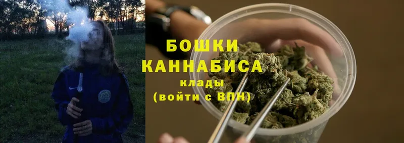 shop состав  как найти закладки  Никольск  Конопля SATIVA & INDICA 